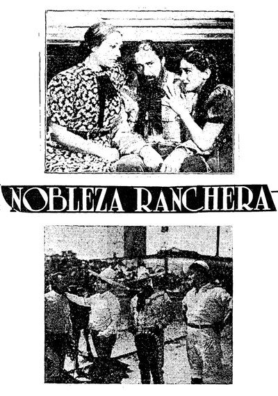 Póster de Rural Chivalry