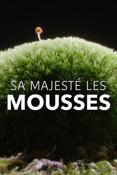 Póster de Sa Majesté les mousses