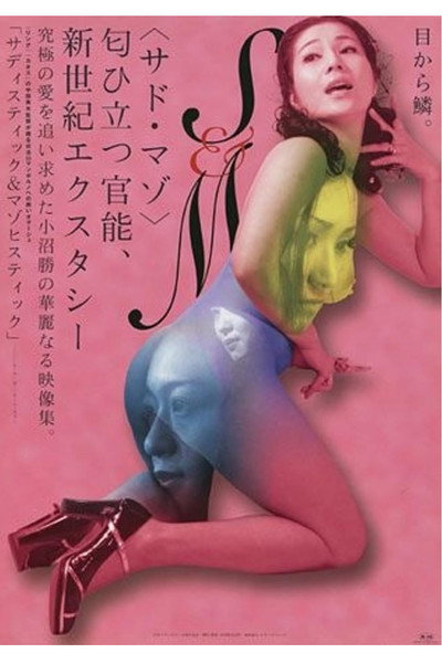 Póster de Sadistic and Masochistic