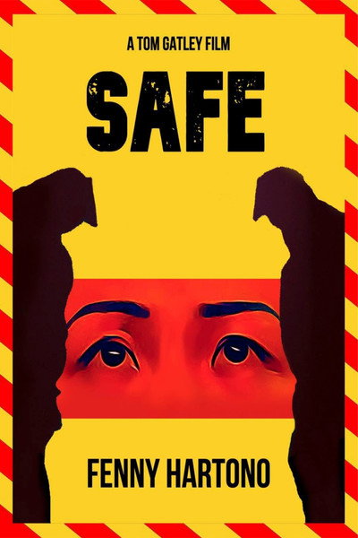 Póster de Safe