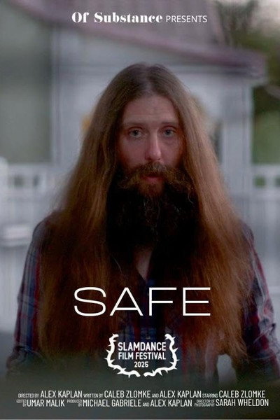 Póster de Safe