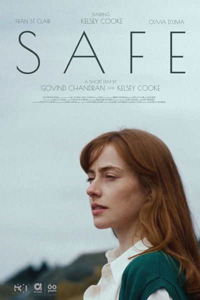Póster de Safe
