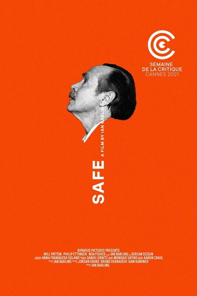 Póster de Safe