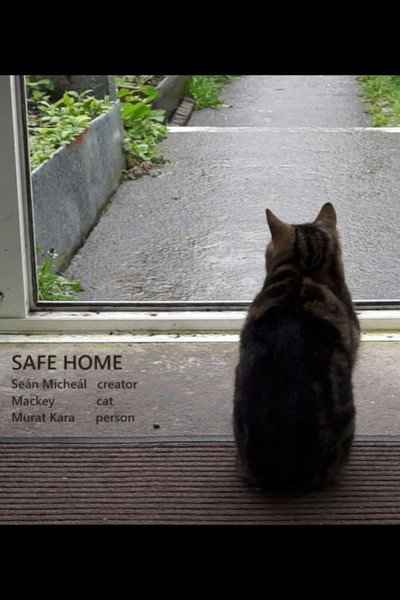 Póster de Safe Home