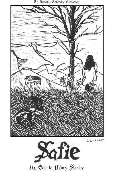 Póster de Safie