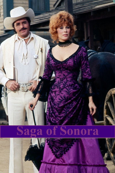 Póster de Saga of Sonora