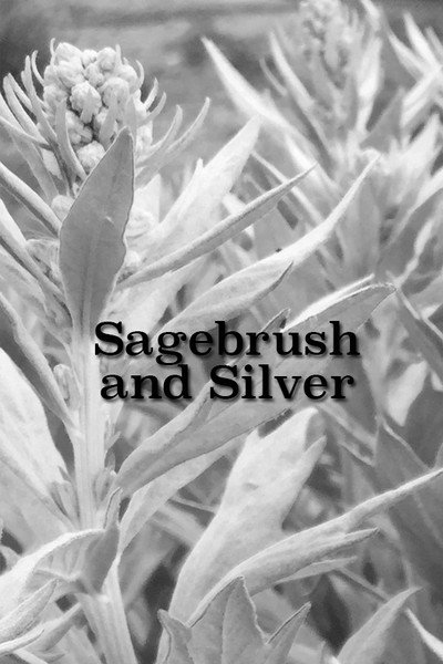 Póster de Sagebrush and Silver