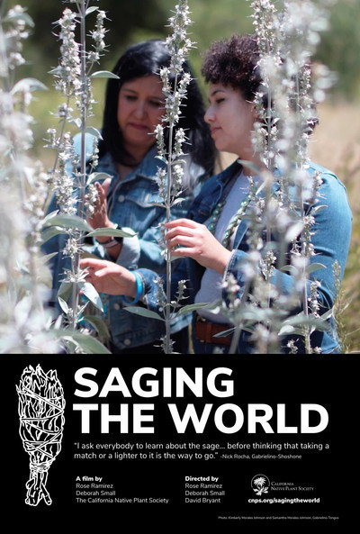 Póster de Saging the World