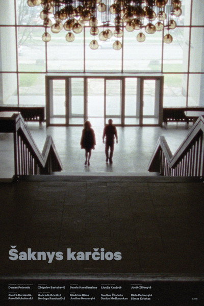 Póster de Saknys karcios