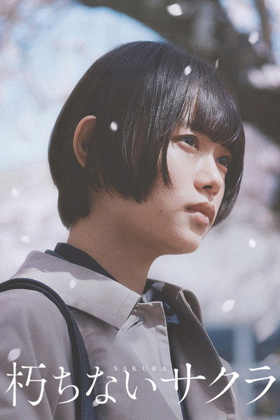 Póster de Sakura