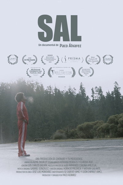 Póster de Sal