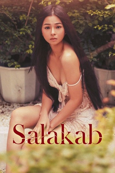 Póster de Salakab