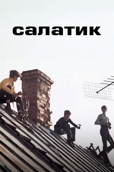 Póster de Salatins