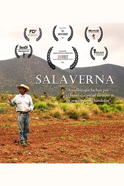 Póster de Salaverna