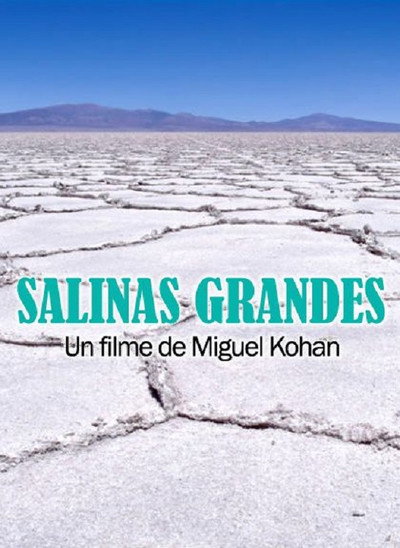 Póster de Salinas grandes