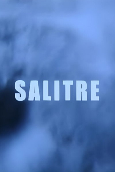 Póster de Salitre