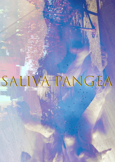 Póster de Saliva Pangea