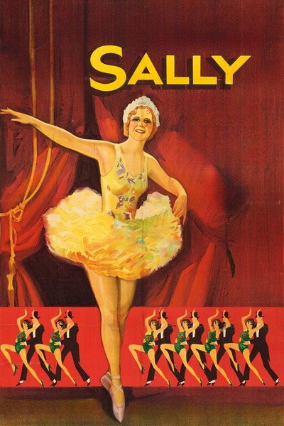 Póster de Sally