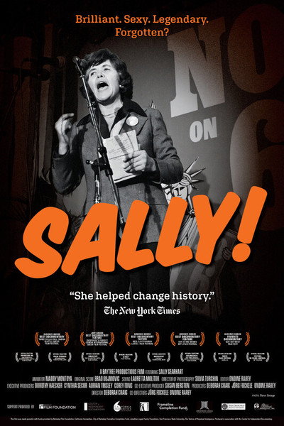Póster de Sally!