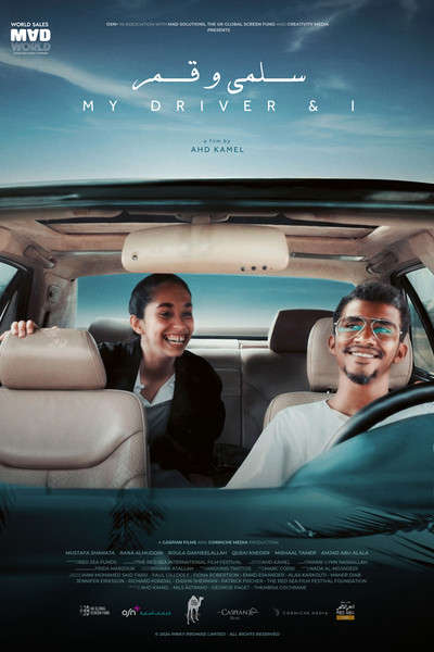 Póster de Salma wa Qamar