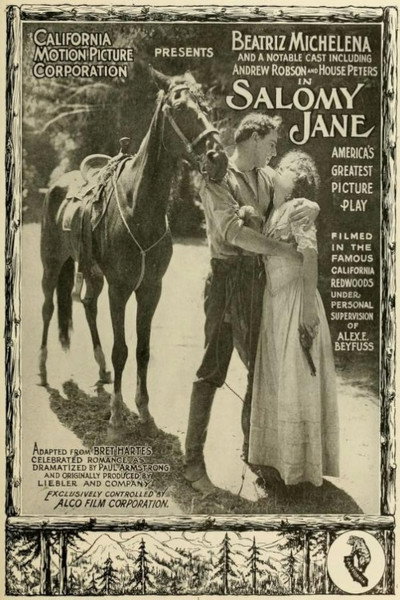 Póster de Salomy Jane