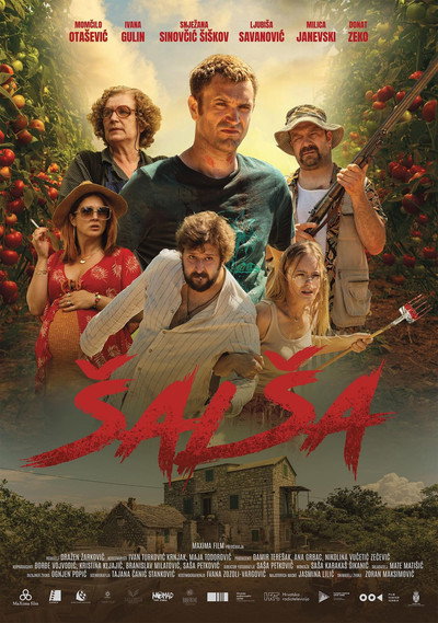 Póster de Salsa