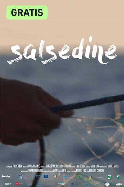 Póster de Salsedine