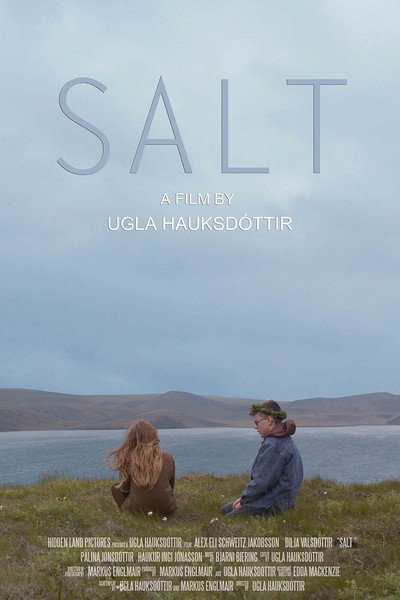 Póster de Salt