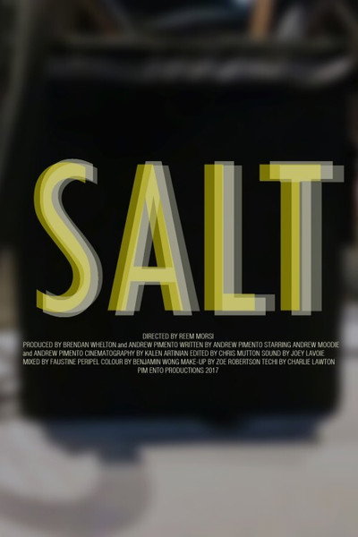Póster de Salt