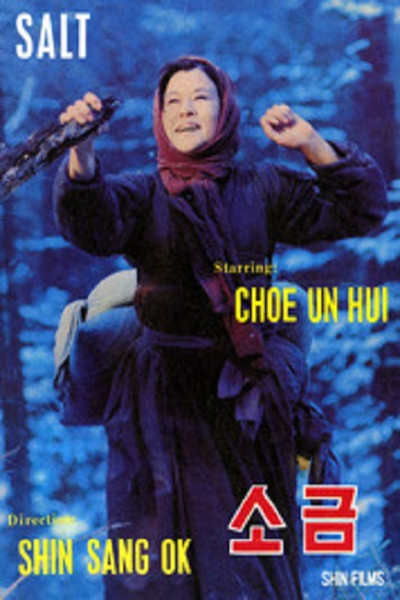 Póster de Salt