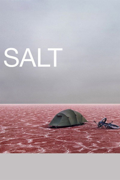 Póster de Salt