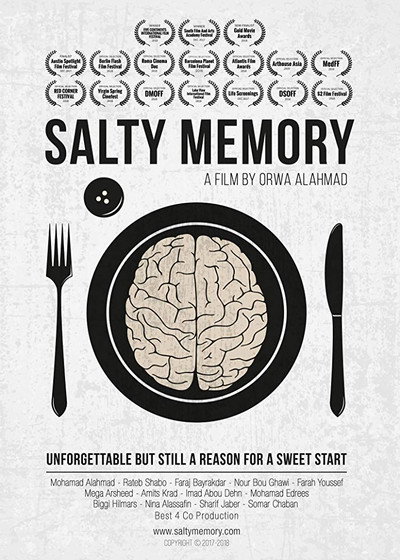 Póster de Salty Memory