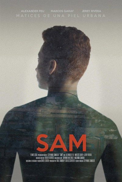 Póster de Sam