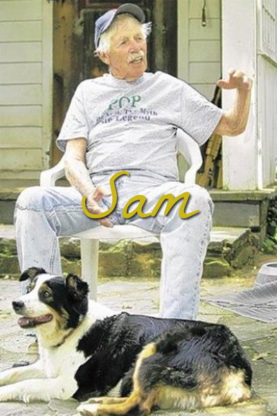 Póster de Sam