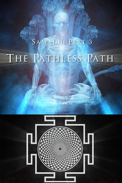 Póster de Samadhi Part 3: The Pathless Path