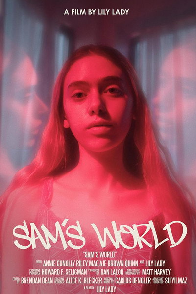 Póster de Sam's World