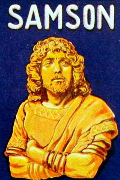 Póster de Samson