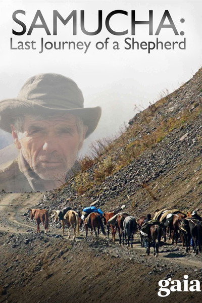 Póster de Samucha: Last Journey of a Shepherd