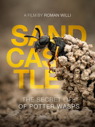 Póster de Sandcastle: The Secret Life of Potter Wasps