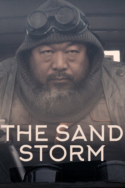 Póster de Sandstorm