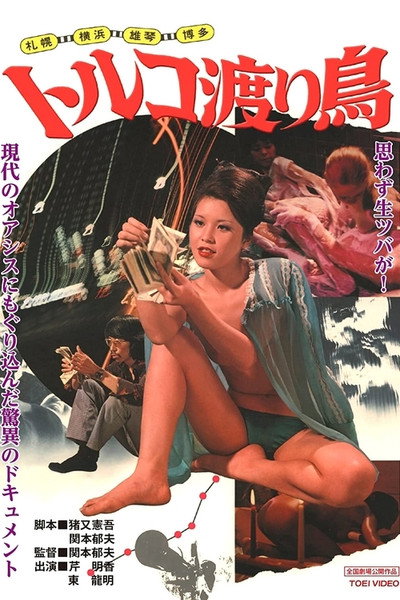 Póster de Sapporo, Yokohama, Nagoya, Ogoto, Hakata: Toruko wataridori