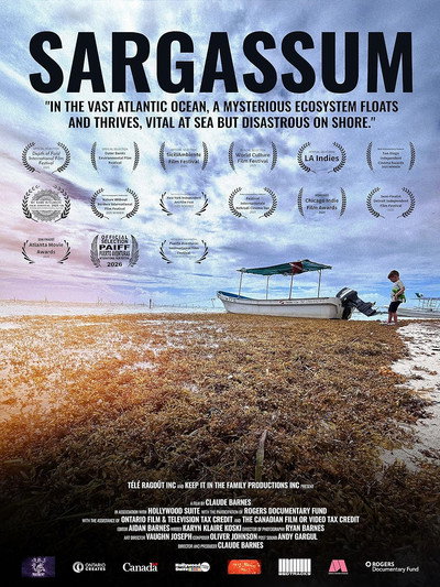 Póster de Sargassum