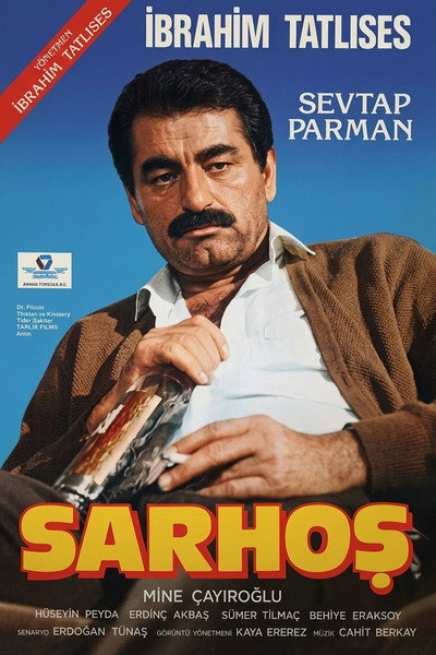 Póster de Sarhos