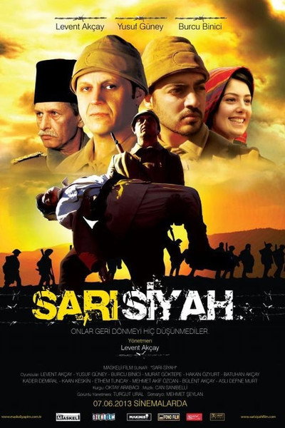Póster de Sari Siyah
