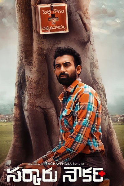 Póster de Sarkaaru Noukari