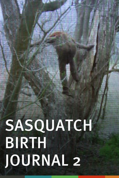 Póster de Sasquatch Birth Journal 2