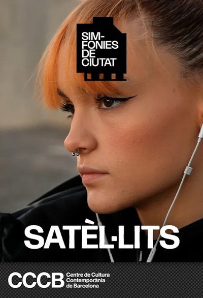 Póster de Satélites