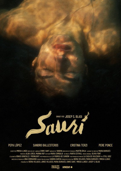 Póster de Saurí