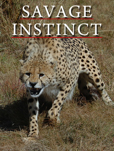 Póster de Savage Instinct