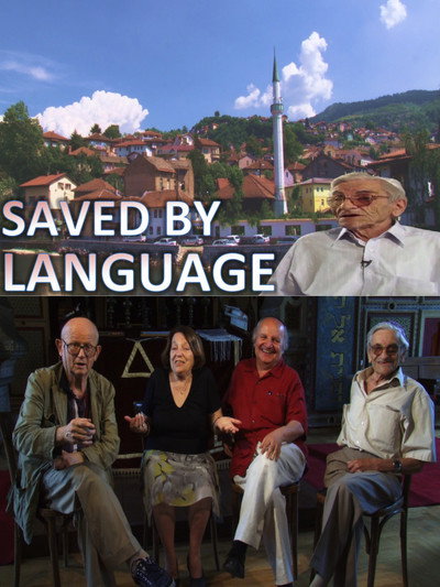 Póster de Saved by Language